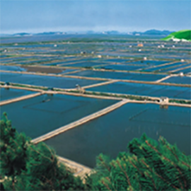 水產養殖監測物聯卡_流量卡